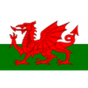 Wales U19 club crest