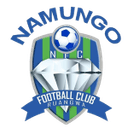 Namungo club crest