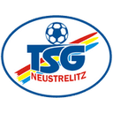 Neustrelitz club crest