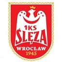 Ślęza Wrocław club crest