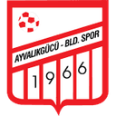 Ayvalikgucu club crest