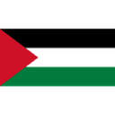 Palestine club crest