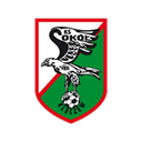 Sokół Kleczew club crest