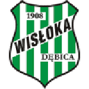 Wisłoka Dębica club crest