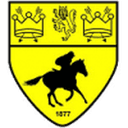 Newmarket club crest