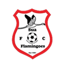 Sua Flamingoes club crest