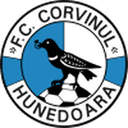 Corvinul Hunedoara club crest