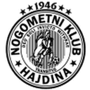 Hajdina club crest