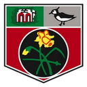 Undy Athletic club crest
