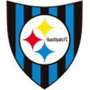 Huachipato club crest