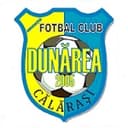 Dunarea Calarasi club crest