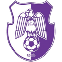 Arges Pitesti club crest