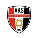 Busko-Zdroj club crest