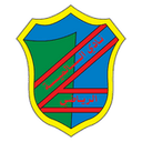 Al Salmiyah club crest