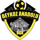 Beykoz Anadolu club crest