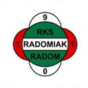 Radomiak Radom club crest
