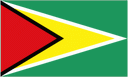 Guyana club crest