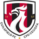 Guilsfield club crest