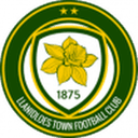 Llanidloes Town club crest