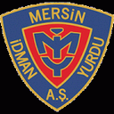 Yeni Mersin Idmanyurdu club crest