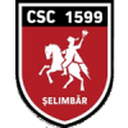 Viitorul Şelimbăr club crest