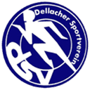 Dellach im Gailtal club crest