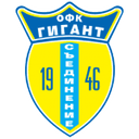 Gigant Saedinenie club crest