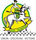 ASFA-Yennenga club crest