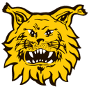 Ilves II club crest