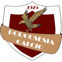 Borgosesia club crest