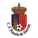Pozuelo Alarcón club crest